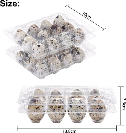 LayHyand 120 Dozen 3x4 12 Count Pcs Quail Egg Cartons, Square Egg Basket, Style Holds Up to Twelve Small Eggs Box, Bulk