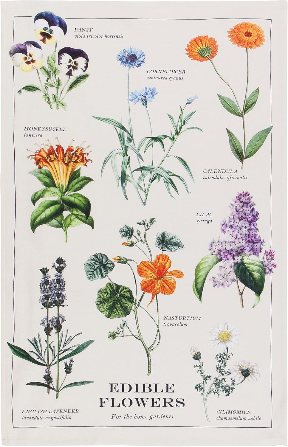 18x28 inches Now Designs Edible Flowers Printed Kitchen Towel
