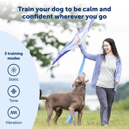 PetSafe 900 Yard Remote Training Collar Choose from Tone, Vibration, or 15 Levels of Static Stimulation Longest Range Option for Training Off Leash Dogs Waterproof and Durable Rechargeable