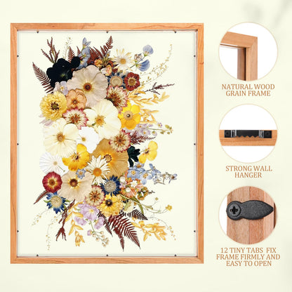 Leinuosen 2 Pcs Floating Picture Frames 16x20 Double Glass Pressed Flower Wooden Frames Wall Tabletop Display Photo Gift for Home Office Plant Specimen Embossed Designs