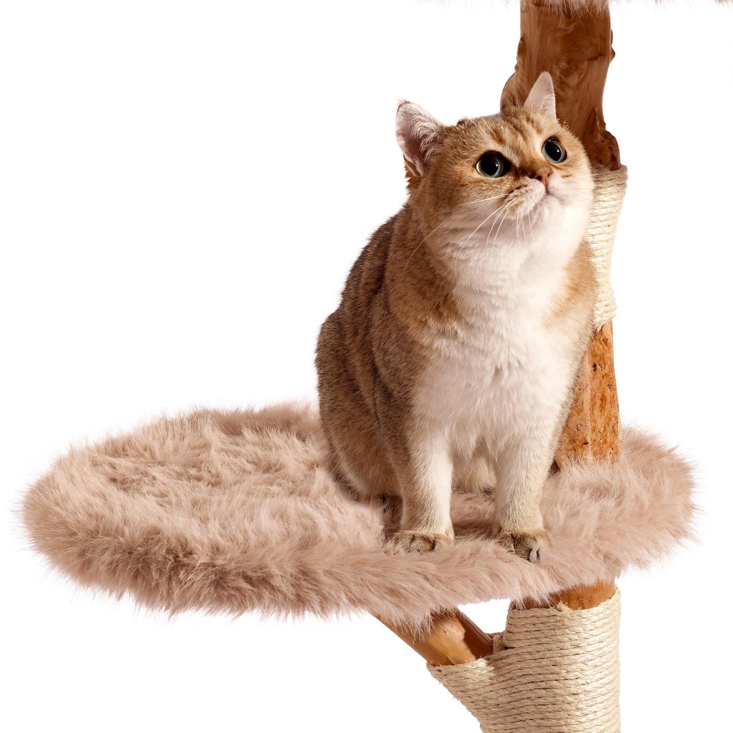 Aesthetic Cat Tree Tower for Large Cats, Large Cat Tree for Maine Coon Indoor Cats with Faux Fox Fur, Solid Wood Sisal Scratching Post, Hammock, Perches, Platform, Toy Ball