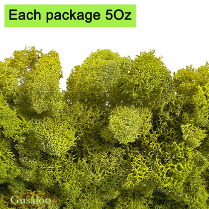 Gusaloo Preserved 5oz Moss Artificial Moss Natural Fresh Green Moss for Craft Handicraft Arts Floral Project Wall Decor Table Decor Wedding Centerpieces Garden Terrariums Decoration