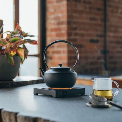 BALMUDA Combo Pack in Black | MoonKettle & The Lantern | Electric Kettle with Temp Control & Rechargeable LED Lantern