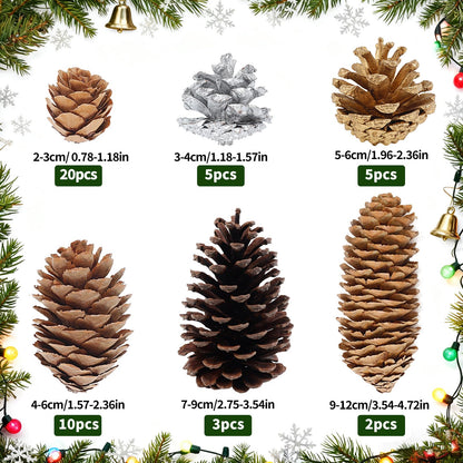 TaoQ C 45 PCS Pine Cones Christmas Pine Cones Natural Large Mini Silver Gold Pinecones for Decorating Christmas Tree Winter Holidays Thanksgiving Table Fall Bowl Fillers Ornaments