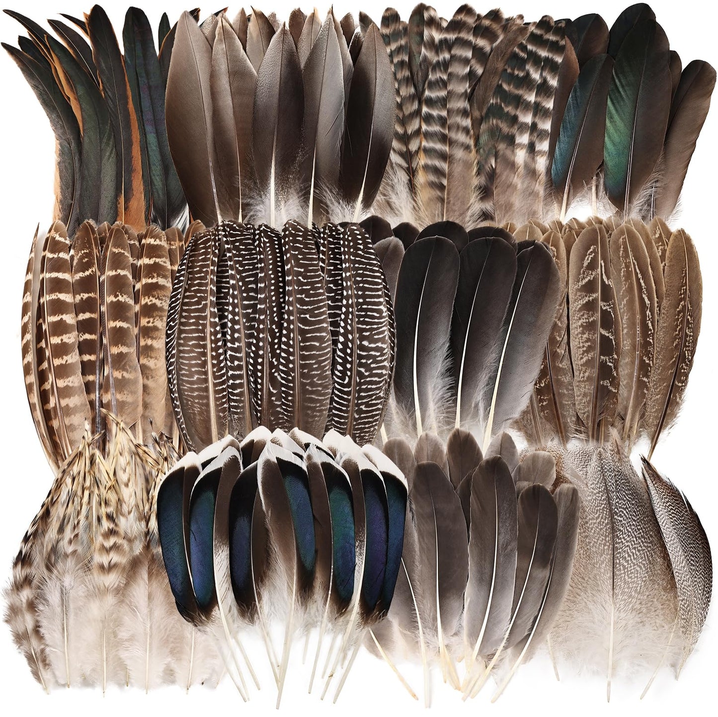 Natural Feathers Bulk - 150PCS - 12 Styles Assorted Natural Feathers, Pheasant Feathers, Turkey Feathers for DIY Crafts, Wedding, Crafting Supplies