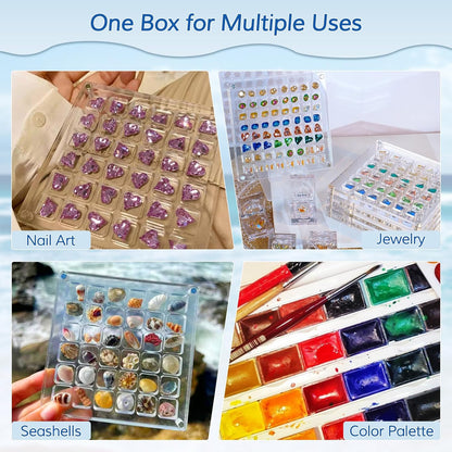 Acrylic Magnetic Seashell Display Box, Decorative Storage Case for Seashells, Trinkets, and Small Craft Organizers