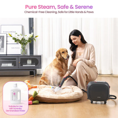 Schenley 21-in-1 Steam Cleaner, High-Pressure Heavy-Duty Steamer for Deep Cleaning Floors, Tiles, Upholstery, Grout, Grill and Cars, Fast Heat-Up, Large Water Tank, Multi-Purpose, Portable Design