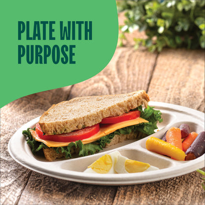 100% Compostable, 3 Compartment, Disposable Paper Plates [125-Pack] - {PFAS Free} - {BPA Certified} - [9 Inch] Heavy Duty Biodegradable Bagasse Sectional Lunch Trays + Dividers - Divided Platte Tray