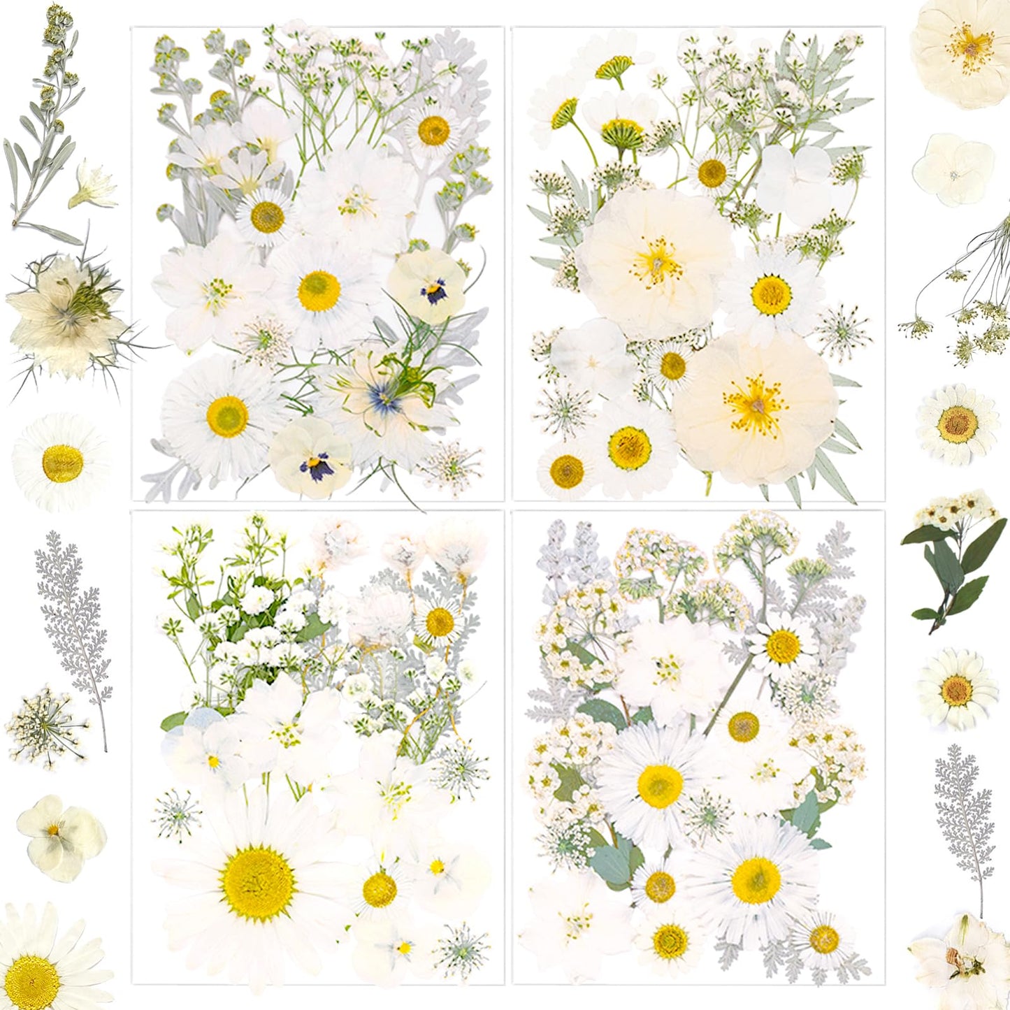 SUAUKEY 95 Pcs White Pressed Dried Flowers for Resin, Real Natural Bulk Dry Wildflowers Leaves Perfect for Epoxy Molds, DIY Crafts, Home Decor, Soap Candles Jewelry Making