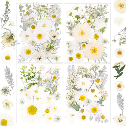 SUAUKEY 95 Pcs White Pressed Dried Flowers for Resin, Real Natural Bulk Dry Wildflowers Leaves Perfect for Epoxy Molds, DIY Crafts, Home Decor, Soap Candles Jewelry Making