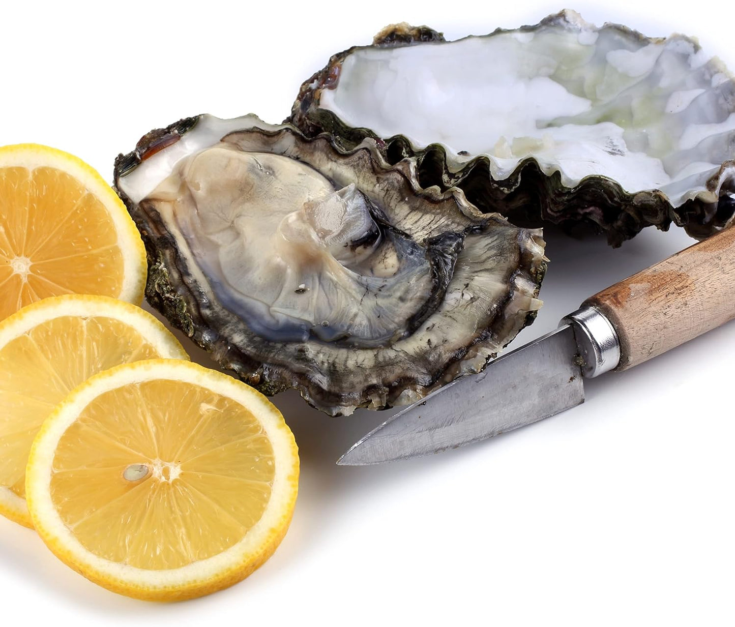 Commercial Grade Oyster Shucking Knife with Ergonomic Grip and Wood Handle, 2.5T Stainless Steel for Home and Outdoor