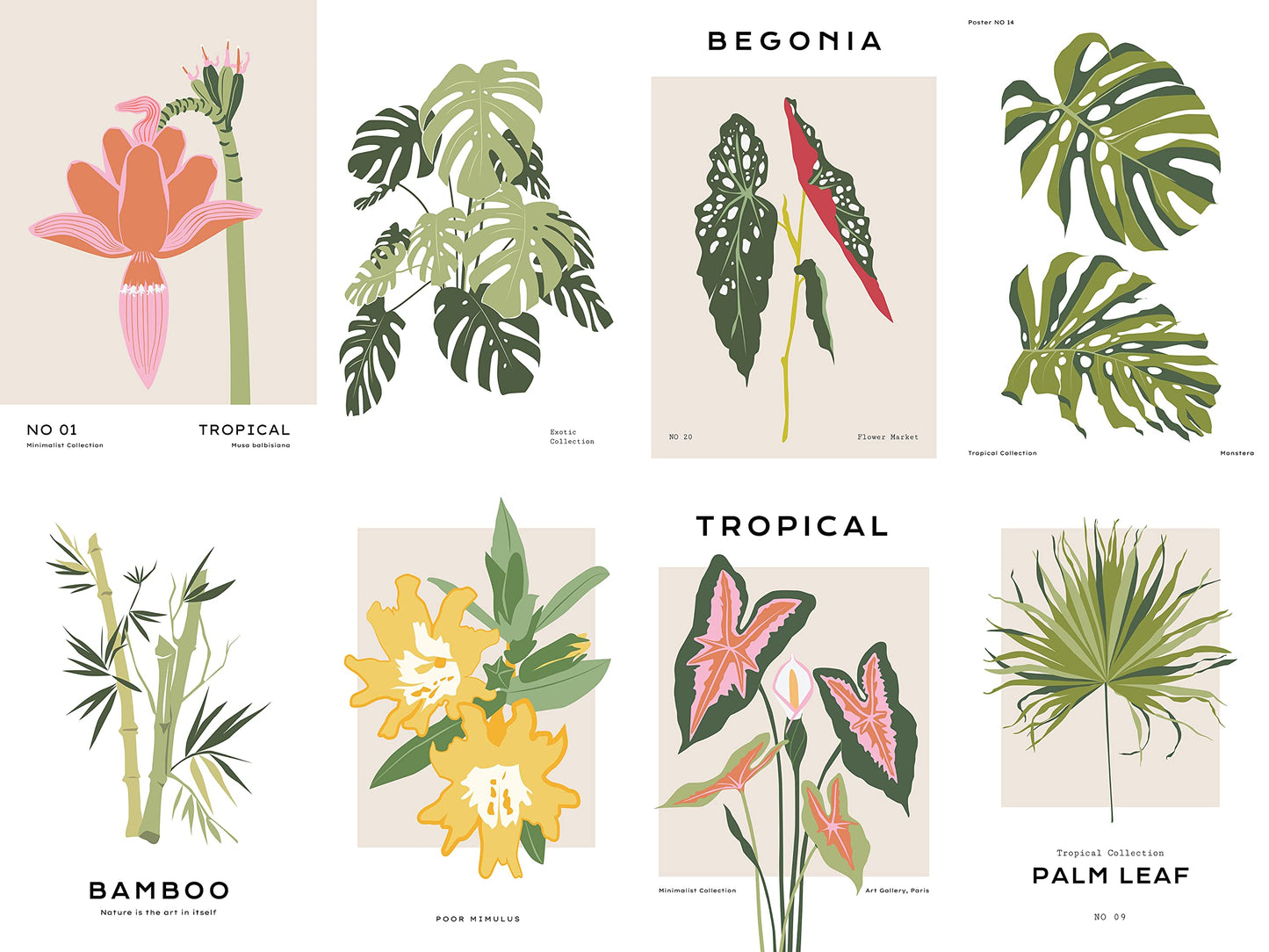 20 Piece Tropical Graphic Garden Flower Floral Collage Kit - Art Boheme, Palm Plants Minimalist, Teen Room Wall, Dormitory Bedroom Decorations, Aesthetic, 4x6 Professional Photos