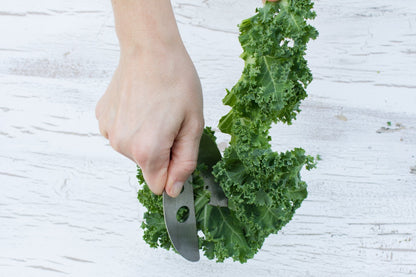 Raw Rutes Kale Razor - Kale and Herb Stripping Tool - Made in the USA from Stainless Steel - Perfect for removing stems from Herbs & Kale