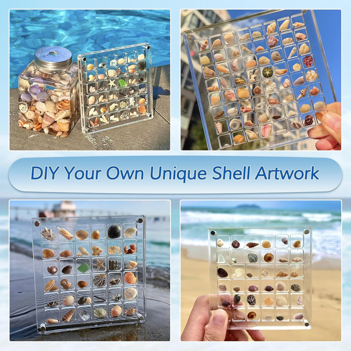 Acrylic Magnetic Seashell Display Box, Decorative Storage Case for Seashells, Trinkets, and Small Craft Organizers