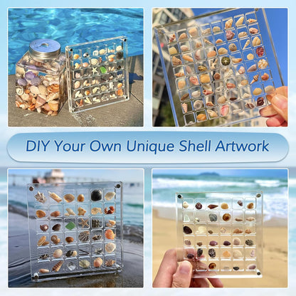 Acrylic Magnetic Seashell Display Box, Decorative Storage Case for Seashells, Trinkets, and Small Craft Organizers