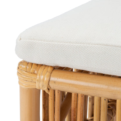 Safavieh Home Collection Erika Rattan Cushion (Set of 2) Accent Chair, Natural/White