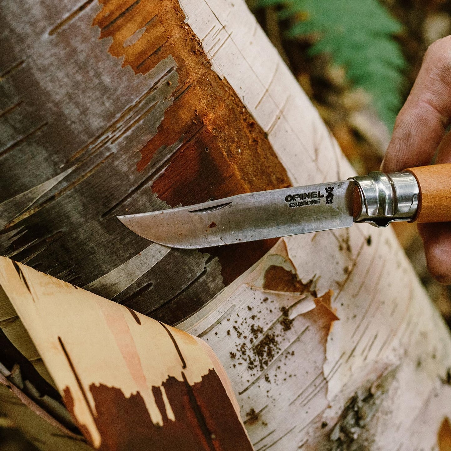 Opinel No. 08 Carbone - Carbon Steel Folding Pocket Knife, Beechwood Handle, 3.28 in Blade, Virobloc Safety Locking Collar, Made in France