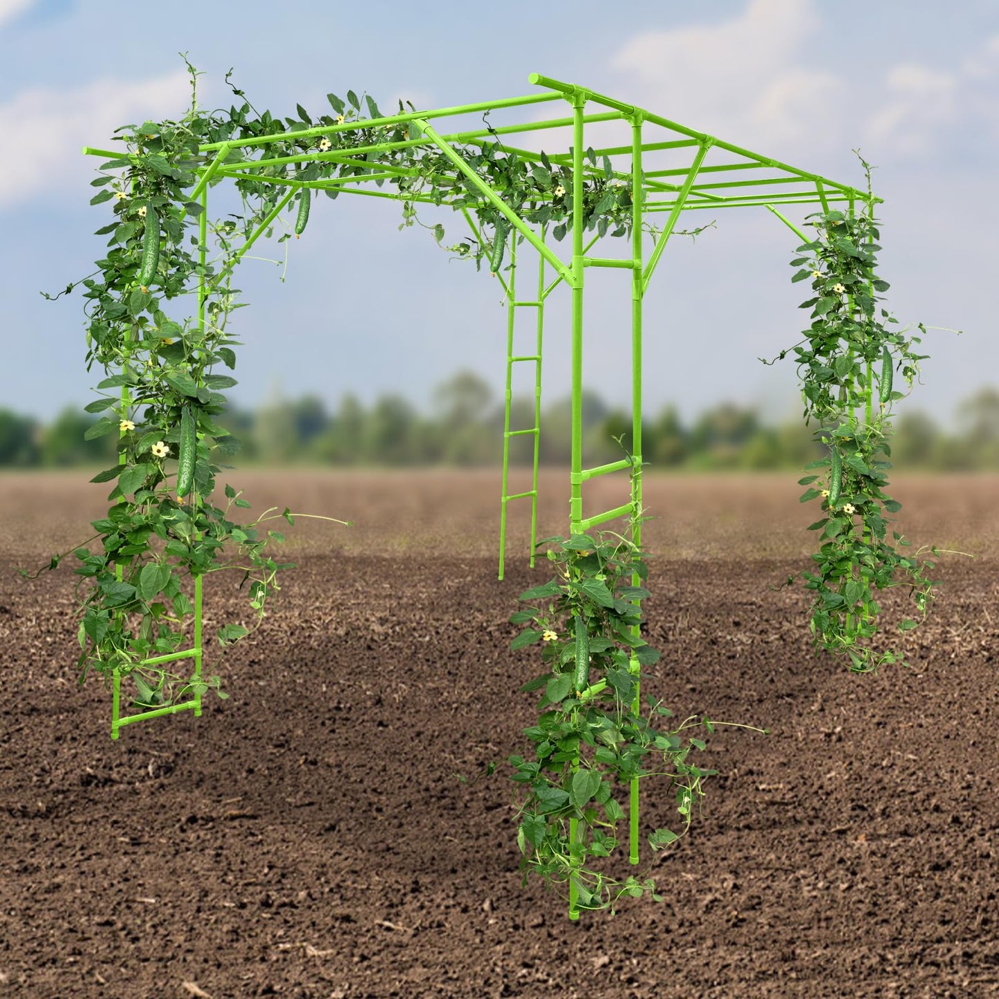 118'' L x 79'' W x 90'' H Grape Trellis, Garden Arch Trellis for Climbing Plants Outdoor, Metal Walkway Arbor Pergola for Backyard Decoration, Large Plant Stand for Vegetable Fruit, Green