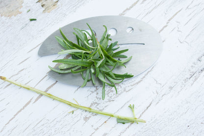 Raw Rutes Kale Razor - Kale and Herb Stripping Tool - Made in the USA from Stainless Steel - Perfect for removing stems from Herbs & Kale