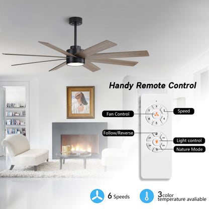 WINGBO 60" Large DC Ceiling Fans with Lights and Remote, 3 Downrods, 8 Plywood Blades, 6-Speeds Reversible DC Motor, 3CCT, Indoor Ceiling Fan for Bedroom Living Room Patio, Black and Gray
