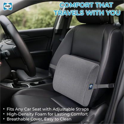 Sealy Ergonomic Lumbar Support Pillow for Office Chair and Car Seat - Memory Foam Back Support Lumbar Pillow, Premium Cushion Chair Support for Lower Back Pain Relief and Versatile Use (Gray)