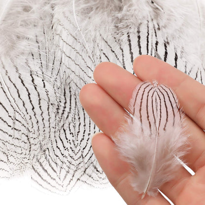 MWOOT 6 Styles Assorted Crafts Feathers, 120Pcs DIY Dreamcatcher Crafts Art Decor Feathers, DIY Earring Wings Carnival Party Mask Activities Project Accessories Small Feather - Mixed Green White Brown