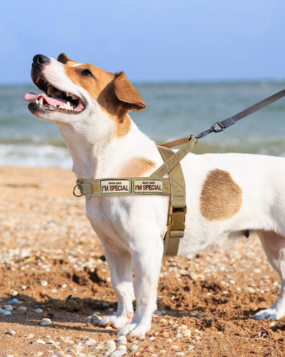 QIFBYFB No Pull Dog Harness for Medium Large Dogs, Reflective Escape Proof Adjustable No Pulling Harnesses Brown L
