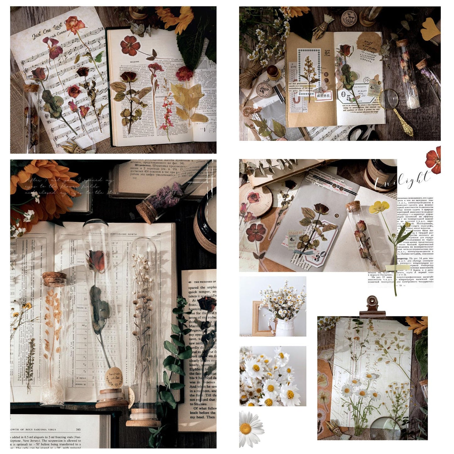 Maxleaf Botanic Series Sticker, 80PCS Large Dried Flowers Waterproof Transparent Stickers, PET Nature Plant Floral Stickers for Journaling Scrapbooking, Clear Flower Decals