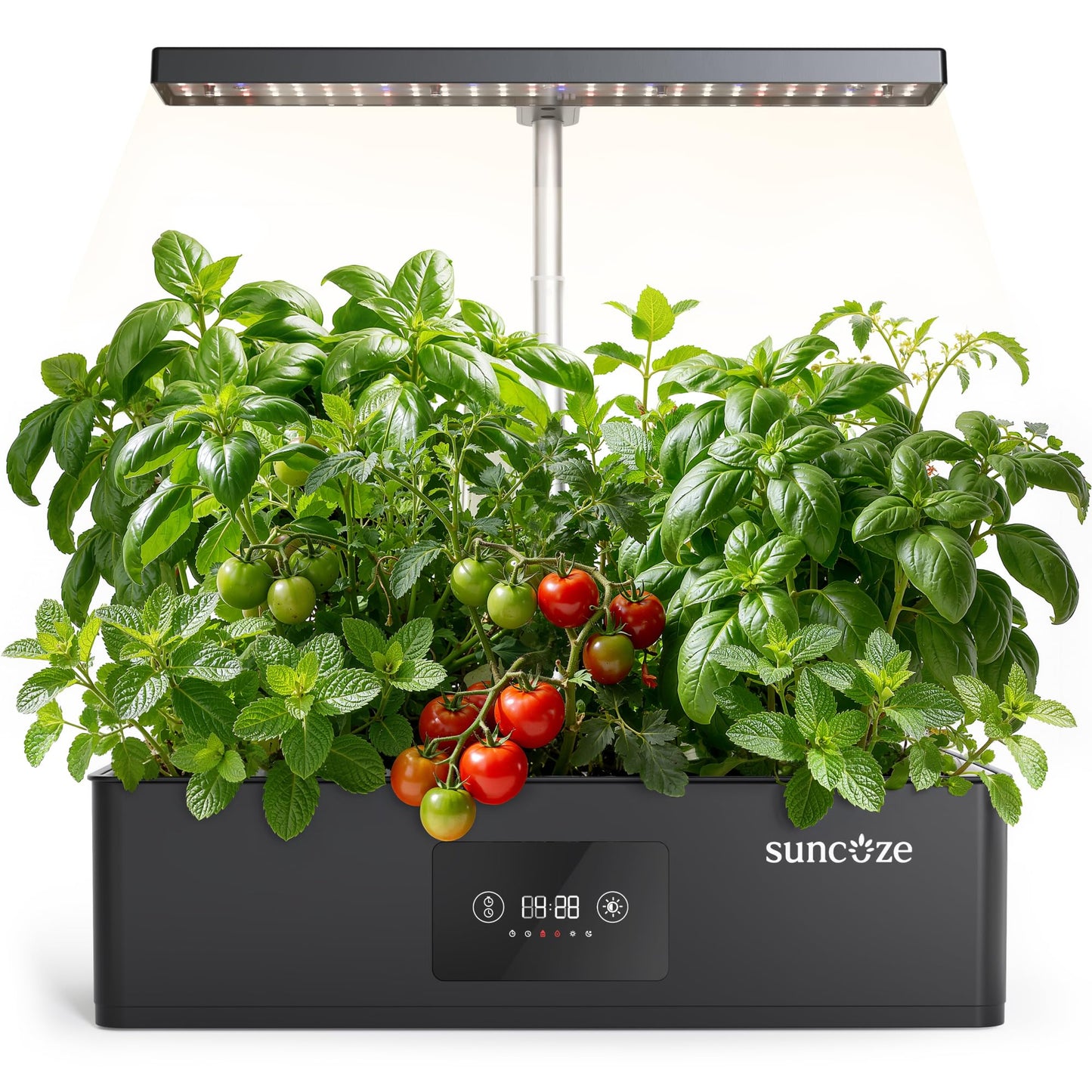 SUNCOZE Hydroponics Growing System Kit with 24W Dimmable Grow Light, 12 Pods Indoor Herb Garden with Timer & Local Time Setting, Adjustable Height, Smart Countertop Garden for Home & Kitchen, Black