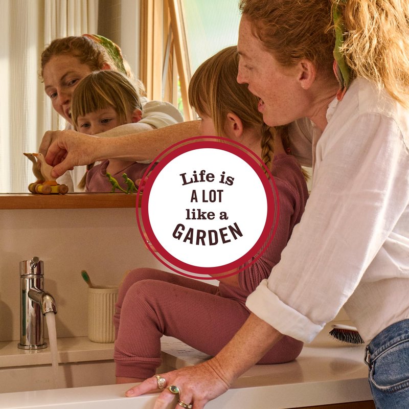 MRS. MEYER'S CLEAN DAY's Probiotic Daily Shower Spray Cleaner, Made With Essential Oils And Other Thoughtfully Chosen Ingredients, Lavender, 16 oz.