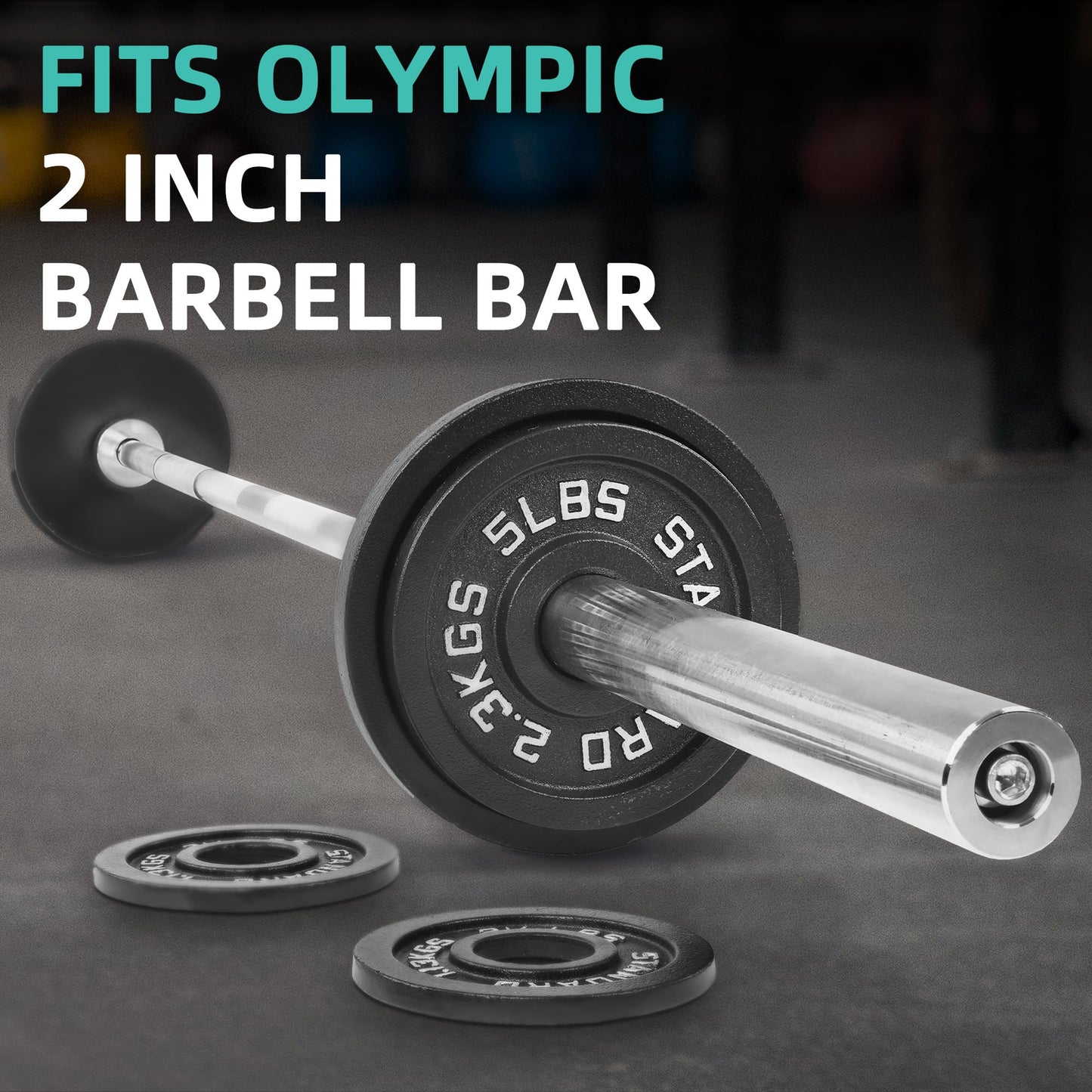 Fitvids 2 Inch Olympic Barbell Weight Plates Set, 255 LB(2.5-45 LB) Barbell Weight Set for Home Gym Strength Training, Deep Grip Edge