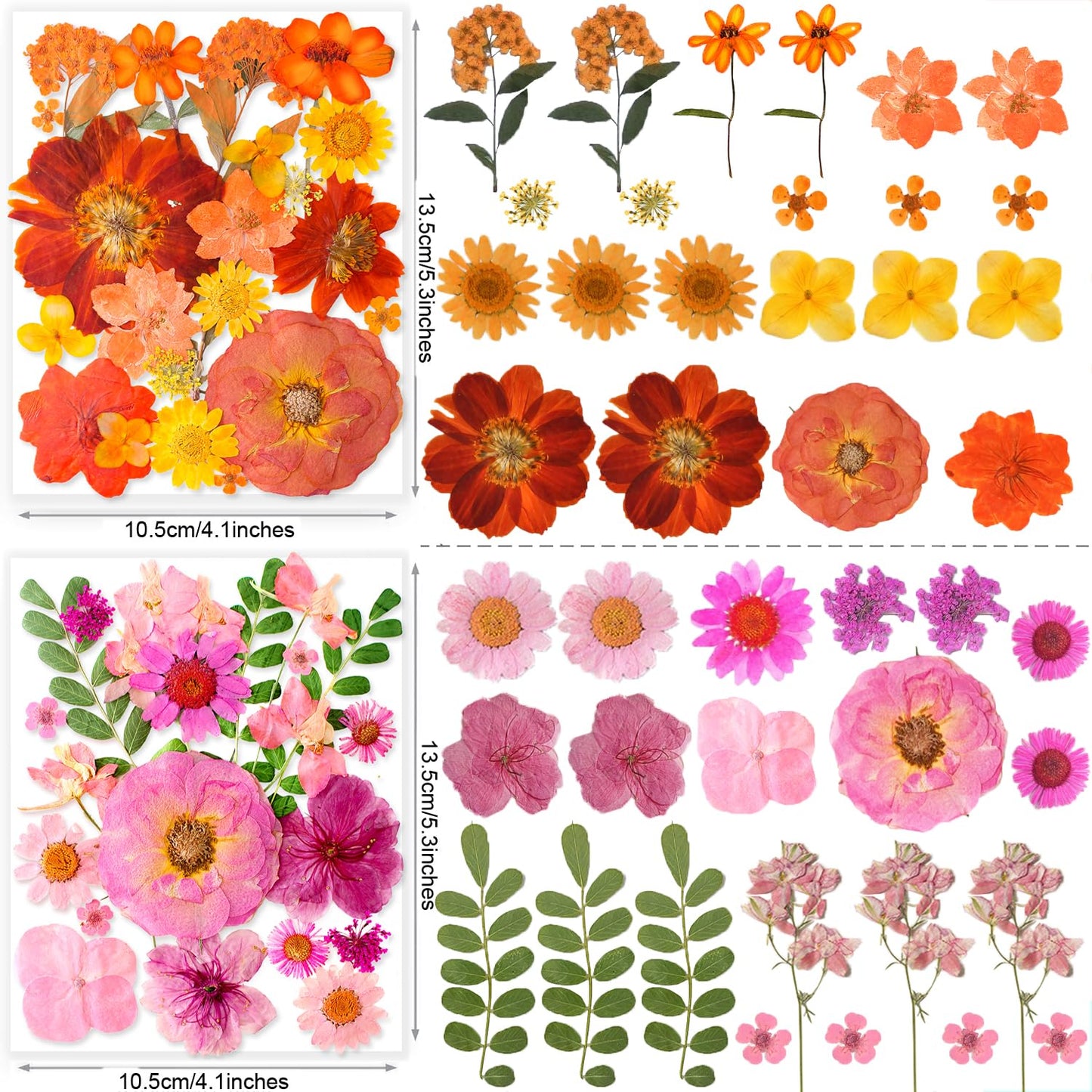 269PCS Dried Pressed Flowers for Resin Craft - YouthBro Real Nature Flowers Set with Butterfly Stickers for DIY Jewelry Nail Scrapbook Art Floral Decors Iridescent