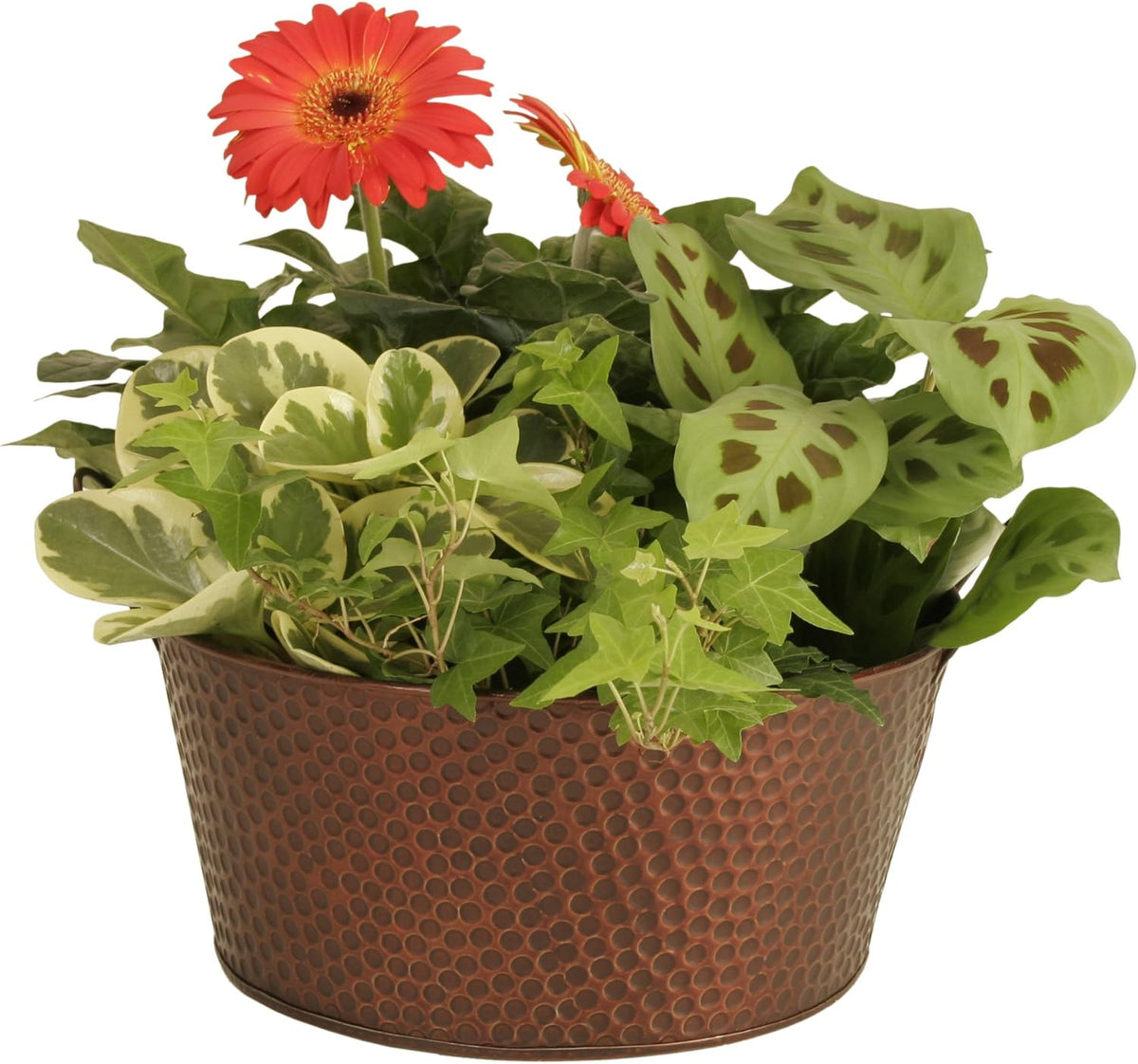 Wald Imports Copper Hammered Metal Beverage Bucket, 10.5"