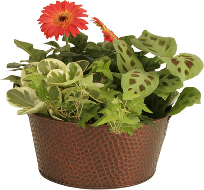 Wald Imports Copper Hammered Metal Beverage Bucket, 10.5"
