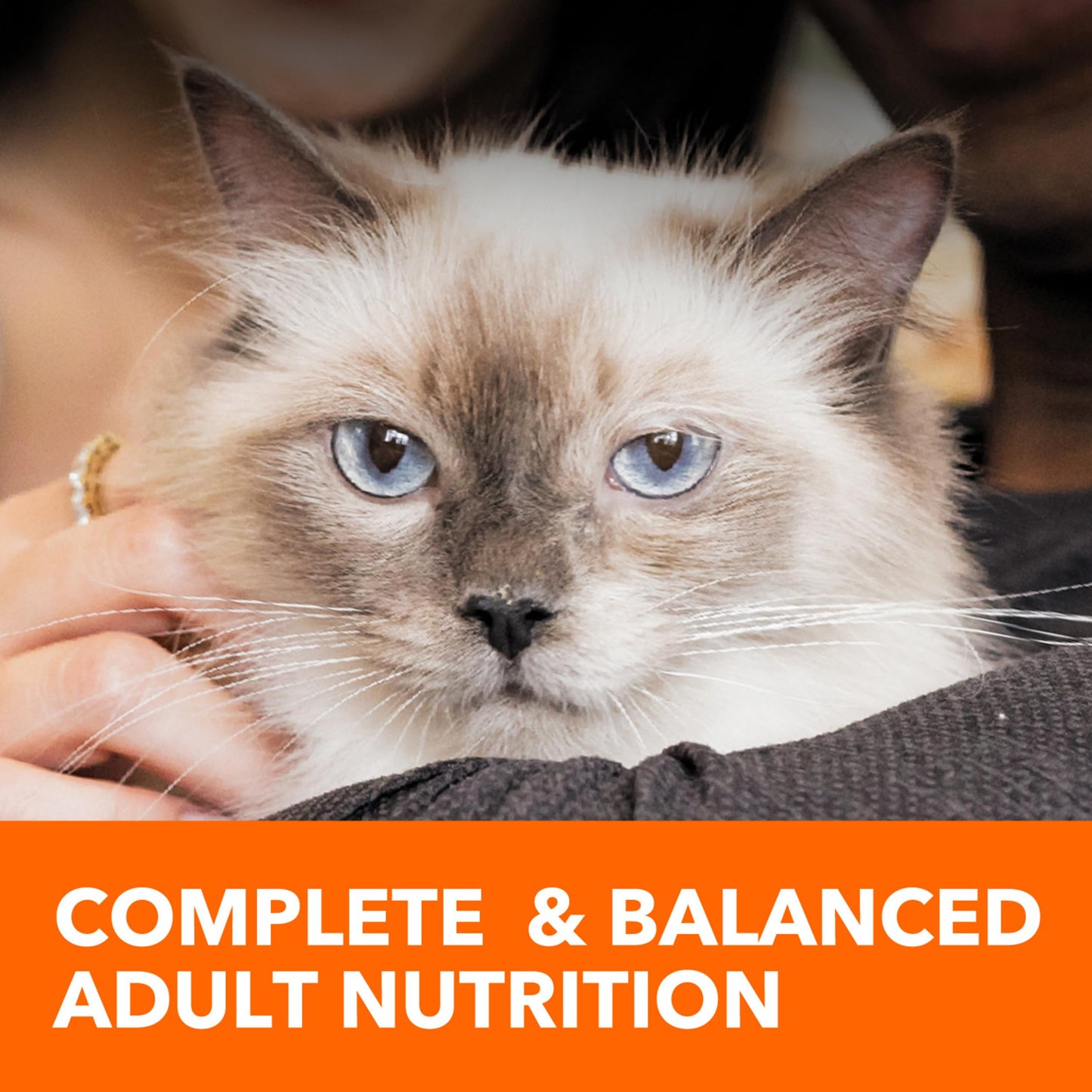IAMS Proactive Health Adult Healthy Dry Cat Food with Chicken, 3.5 lb. Bag