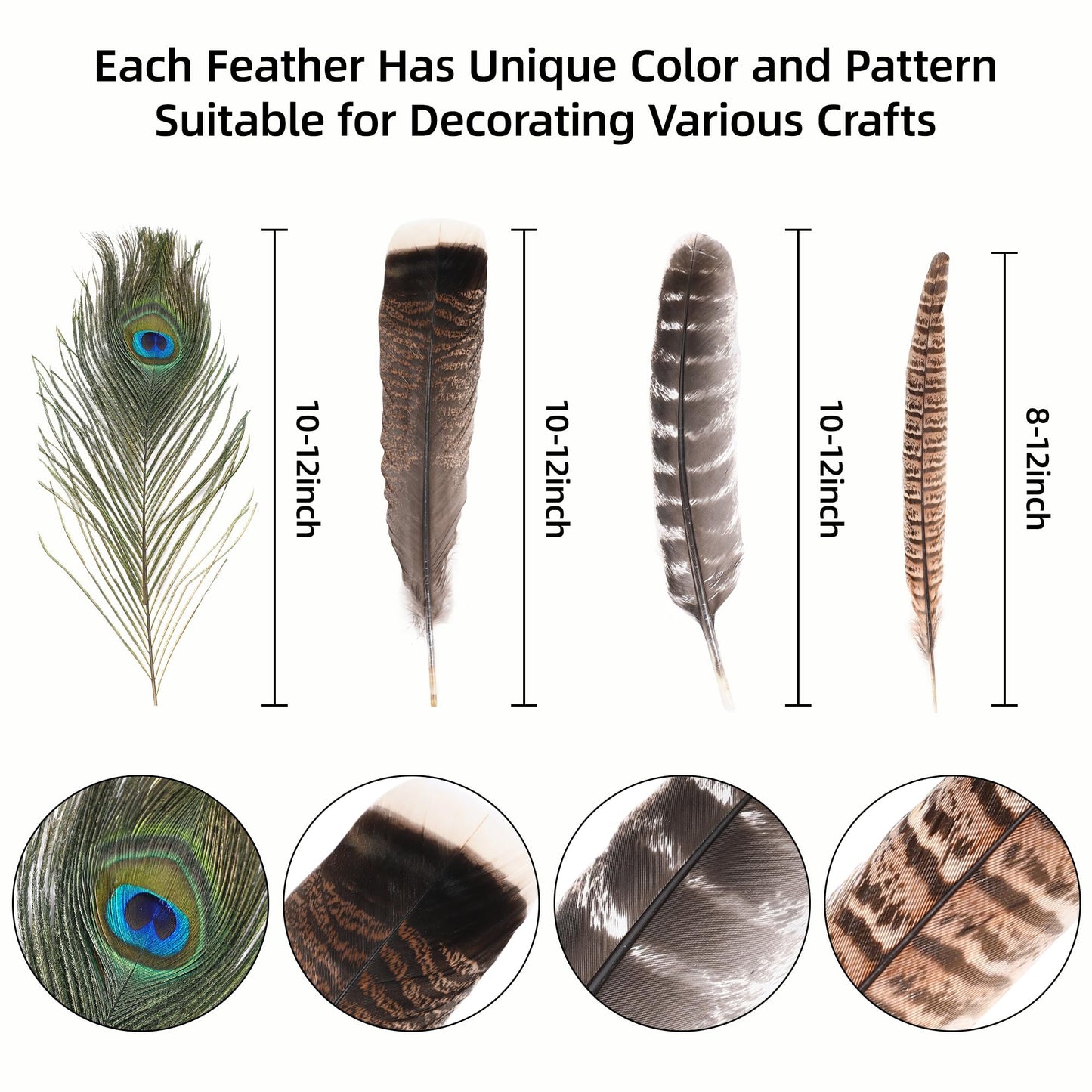 Ballinger 8-12inch 4 Styles 24Pcs Assorted Pheasant Feathers and 24 Pcs 10-12inch Black Ostrich Feaathers for Crafting Vase Hat Wedding Autumn Party Decor