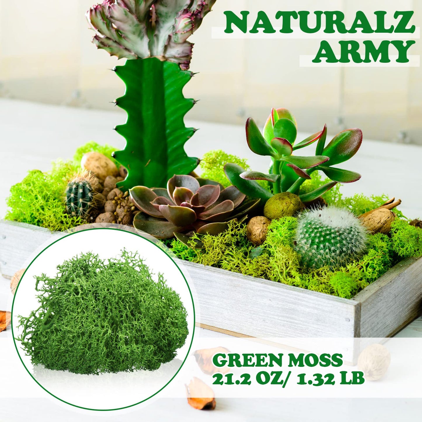 Jadive 21.2 oz Moss Preserved 1.32 Lbs Green Preserved Reindeer Moss Bulk Artificial Decorative DIY Kit for Craft Wall Decor Fairy Gardens Terrariums Art Project Table Floral Decor