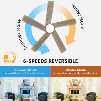 WINGBO 48 Inch DC Ceiling Fan with Lights and Remote Control, 5 Carved Solid Wood Blades, 6-Speed Noiseless Reversible DC Motor, Indoor Ceiling Fan in Graphite Finish with Gray Blades