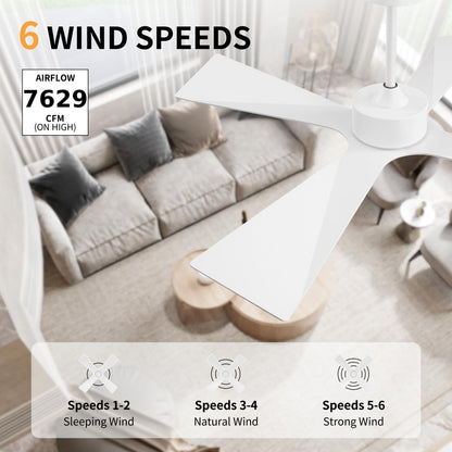 WINGBO 64" Wet Rated Outdoor Ceiling Fan without Lights, 4 ABS Plastic Blades, Reversible DC Motor, 6-Speed Remote Control, Waterproof Ceiling Fan No Lights for Patio Porch Gazebo Garage, White
