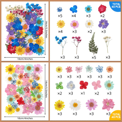 Tessera 160+ Pcs Real Pressed Flowers for Resin & Crafts - 4 Themed Dried Flower Sheets with 4-Piece DIY Tool Kit - for Resin Jewelry Making, Scrapbooking Supplies, Nail Art, Candle & DIY Gifts