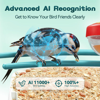 BROAIMX Smart Bird Feeder with Camera-AI Identify 11,000+ Species, 2K HD Auto Capture Birds Video & 64G TF Card, Solar-Powered Wireless Outdoor Design, Birdhouse with Built-in Two-Way Microphone