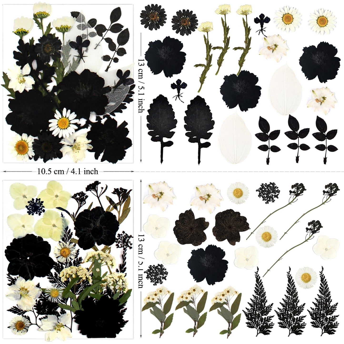 LUCISKY 90Pcs Black Pressed Dried Flowers for Resin Molds, Real Natural Bulk Dry Floral Leave for DIY Art Crafts, Epoxy Jewelry, Candle, Soap Making, Nails Decors