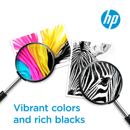 HP 63XL Black High-Yield Printer Ink Cartridge for HP Printers | Works with DeskJet 1112, 2130, 3630;ENVY 4510, 4520; OfficeJet 3830, 4650, 5200 | Eligible for Instant Ink | F6U64AN