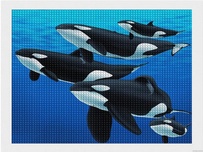 UPABLUNSO Orca Killer Whale Diamond Painting Kits Rhinestone Pictures Art Craft by Numbers for Home Decor & Gifts 12x16 Inch