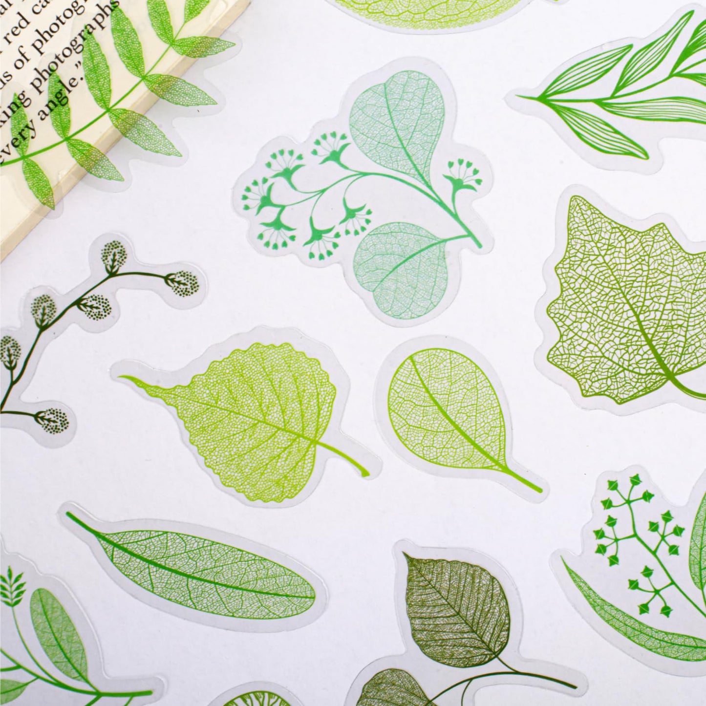 120 Pcs Realistic Skeleton Leaf Stickers, 6 Packs Aesthetic Leaf Vein PET Decals for Scrapbooking, Transparent Botanical Ephemera for Junk Journaling, Resin Art & DIY Crafts