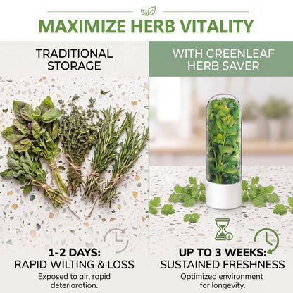 Anreelkou 2PCS Herb Saver, Herb Keeper for Refrigerator, Cilantro Container for Fridge, Hard Shell Fresh Herb Storage for Asparagus, Parsley, Mint, Rosemary, Keeps Greens Fresh for 2-3 Weeks
