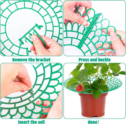 Fairooth 6 Pack 3 Strawberry Supports Strawberry Plant Support Stand Strawberry Growing Racks Protector Strawberry