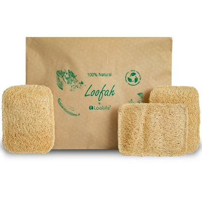Natural Loofah Kitchen Sponge (3 Pack) - Natural Sponges for Dishes - Eco Friendly and Compostable Sponges - Biodegradable Plant Based Kitchen Dish Sponge - Plastic Free Dish Scrubber