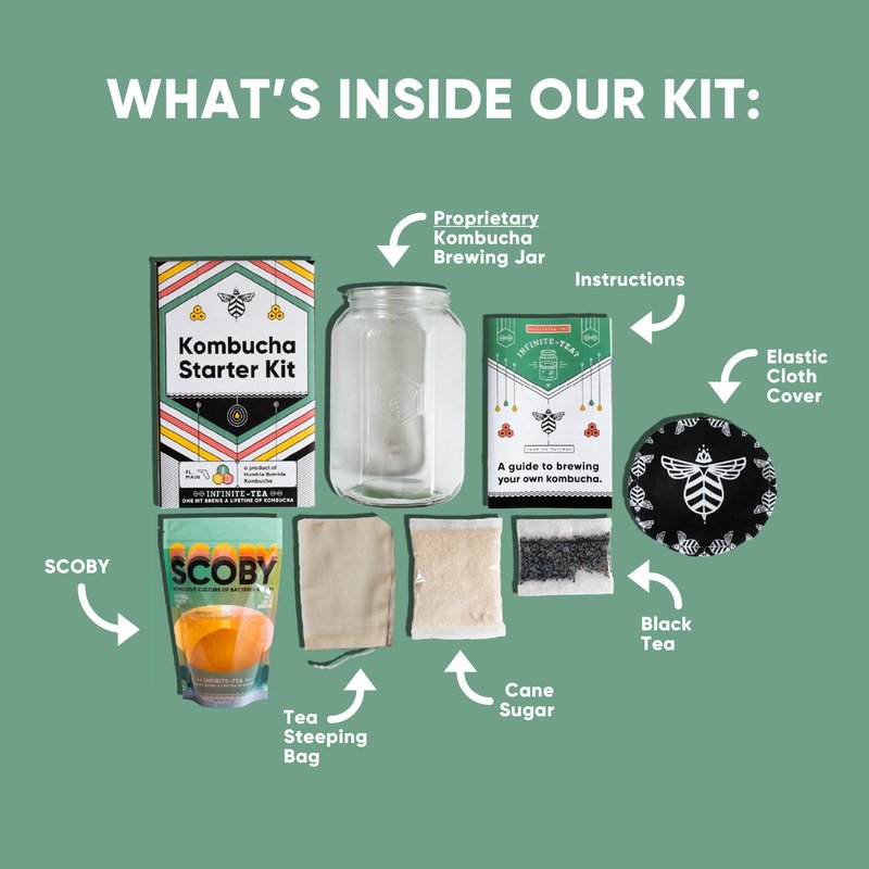 Craft A Brew Home Brewing Starter Kit Kombucha Tea Kit – Home Kombucha Kit – Fermentation Starter with Kombucha SCOBY – 1 Gallon