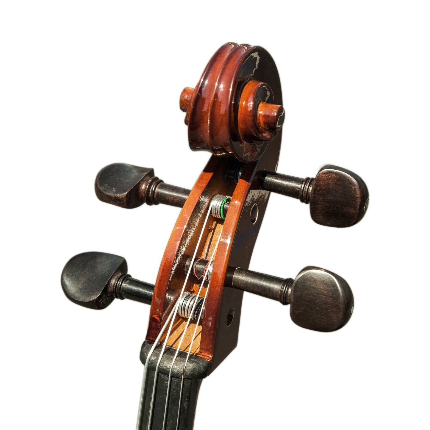 Paititi CE4009SE AVANT-GARDE Ebony Fitted Solid Wood Acoustic Cello with Soft Case, Brazilwood Bow, Rosin and Stopper (3/4)